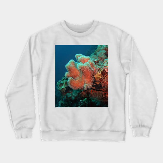 Red Sea Coral Reef Crewneck Sweatshirt by likbatonboot